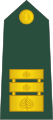 Podpolkovnik[16] (Slovenian Ground Force)