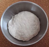 Yeast bread dough after kneading, before rising