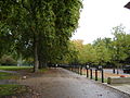 Green Park, London, and Constitution Hill