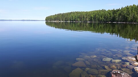 Lake Saimaa shoreline