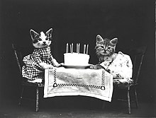 Zwei wie Menschen gekleidete Katzen sitzen an einem gedeckten Geburtstagstisch