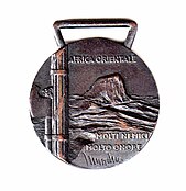 Commemorative Medal for Military Operations in East Africa obverse