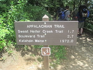 Appalachian Trail at Newfound Gap in the Great Smoky Mountains National Park, N.C.