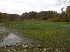 Abgelassener Mühlenteich (Herbst 2007)