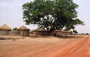A village outside Siguri
