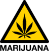 A symbol of a yellow diamond with black outlines with a black marijuana leaf inside, the word "Marijuana" is listed below in black