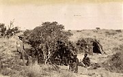 Kattea encampment, Kalahari
