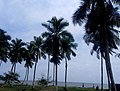 Image 1Kribi Beach (from Tourism in Cameroon)