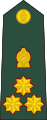 Brigadier (Sri Lanka Army)[24]