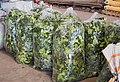 C. hystrix leaves for sale in Phou Puy Wholesale Vegetable Market in Battambang, Cambodia (August 2022)