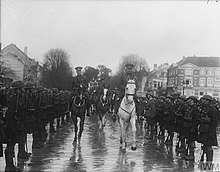 Albert I and Jeudwine on horseback, ride between two rows of troops from the division.