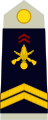 Sergent (French Army)[44]