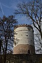 Burg Plesse, Bergfried