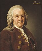 Swedish botanist and originator of binomial nomenclature, Carl Linnaeus (1775)