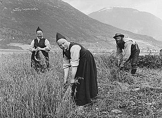 Harvest in Jølster, Norway, c. 1890