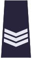 Sierżant sztabowy (Policja)[49]