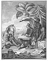 Pierre Sonnerat (1748-1814) vermutlich Illustration zur Reise um 1770 "À l'ombre d'une palme, M. P. Sonnerat, exécute l'étude d'un perroquet que lui présente une jeune femme de Nouvelle-Guinée"