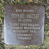 Stolperstein Herford Brüderstraße 1 Sophie Hecht