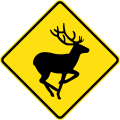 (W5-V134) Deer (used in Victoria)