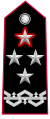 Shoulder insignia of a comandante generale of the Arma dei Carabinieri.