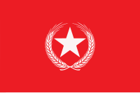 Flag of the VP