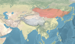 Liao dynasty is located in Khitans