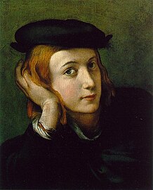 Parmigianino's Portrait of a Young Man