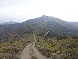 Wanderweg zum Puig Querroig, Blick nach Westen