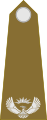 Major (South African Army)[80]