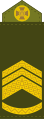 Старший майстер-сержант (Senior Master Sergeant)