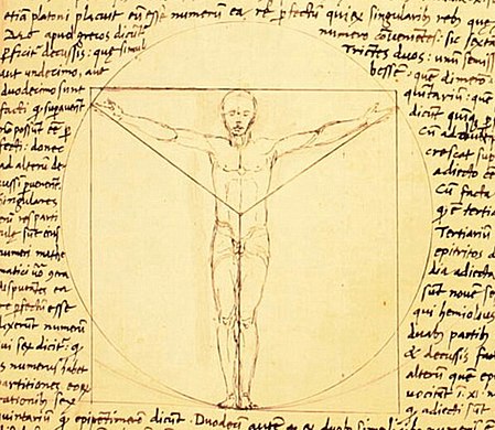 A 'Vitruvian Man' prototype by Giacomo Andrea, 1490