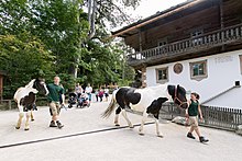 Endangered breeds of farm animals are kept at the typical Tyrolean farm.