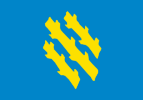 Flag of Søndre Land Municipality