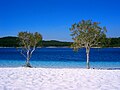Lake McKenzie auf K’gari (Fraser Island) in Queensland