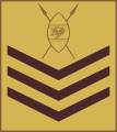Staff sergeant (Kenya Army)