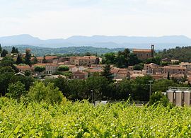 A general view of Saint-Maurice-de-Cazevieille