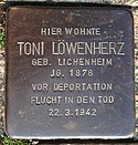 Stolperstein Lauenförde Würgasser Straße 5 Toni Löwenherz