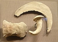 Ubaid 3-4; a sickle and bent nail; clay; Oriental Institute Museum