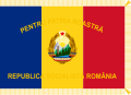 Flag of the Patriotic Guards (front)