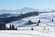 Winterlandschaft im Allgäu mit Grünten im Hintergrund