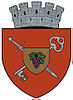 Coat of arms of Huși