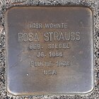 Stolperstein für Rosa Strauss