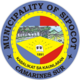 Official seal of Sipocot