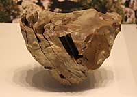 Stone core for making fine blades, Boqer Tachtit, Negev, Israel, circa 40,000 BP.
