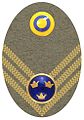 Hat badge (Mössmärke m/1946) for a captain in the army