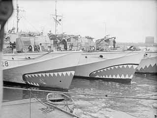 Royal Navy Motor Torpedo Boats decorated with shark mouths, June 1944