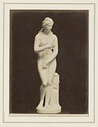Venus de' Medici, Uffizi, Florence (Photograph, 1865–c. 1890)