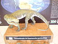 Decuriasuchus