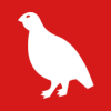 Flag of Holtålen
