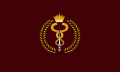 Flag of the Bahrain Defence Force Royal Medical Services